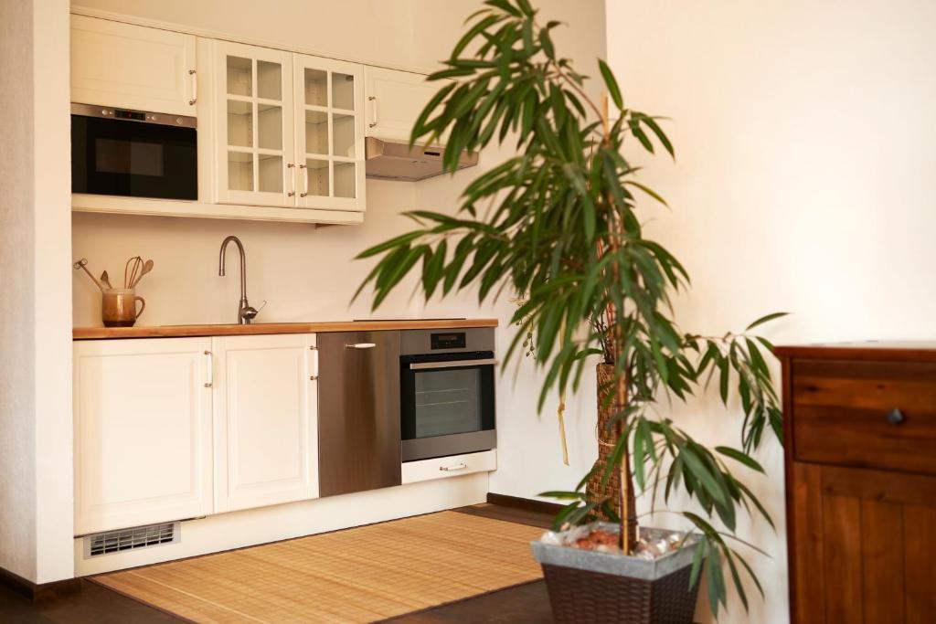 Fruehstueckspension Kleinschuster Burgau Room photo